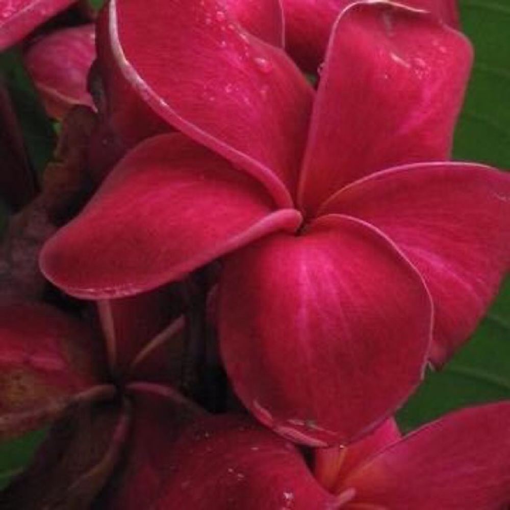 Meet your Posher, Gloria